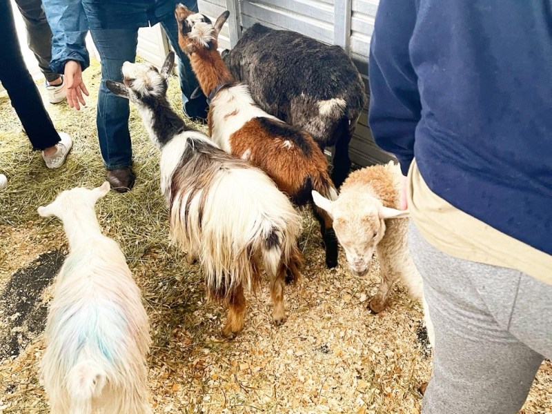 Birthday Party in Stratford,&nbsp;CT