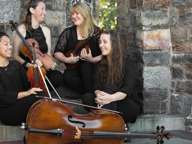 Andante Strings | A Porchlight Preferred Entertainment&nbsp;Service